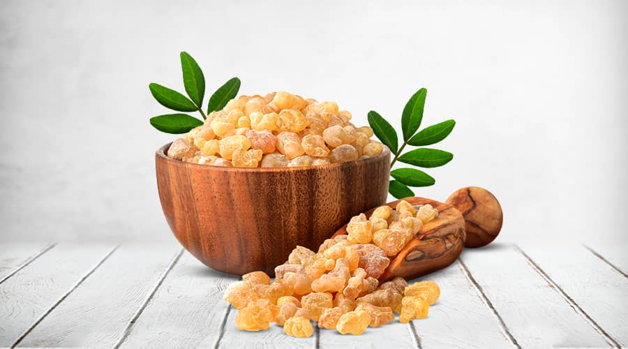 آدامس ماستیک